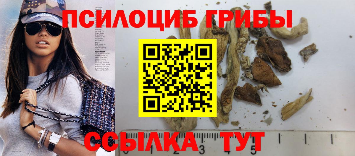 Галлюциногенные грибы Psilocybine cubensis  Галлюциногенные грибы прущие грибы  Дивногорск  Вход с VPN 